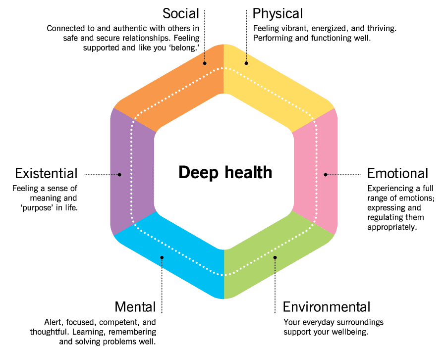 Wheel image shows six dimensions of health: social, physical, emotional, environmental, mental, and existential