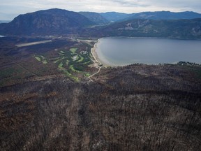 Trees burned by the Bush Creek East Wildfire are seen above Little Shuswap Lake in Squilax, B.C., Monday, Sept. 11, 2023. British Columbia is not ruling out regulating wild mushroom picking after an Indigenous community said the areas devastated by the Lower East Adams Lake and Bush Creek wildfires last year are now sprouting large numbers of morel mushrooms, attracting a large number of foragers.