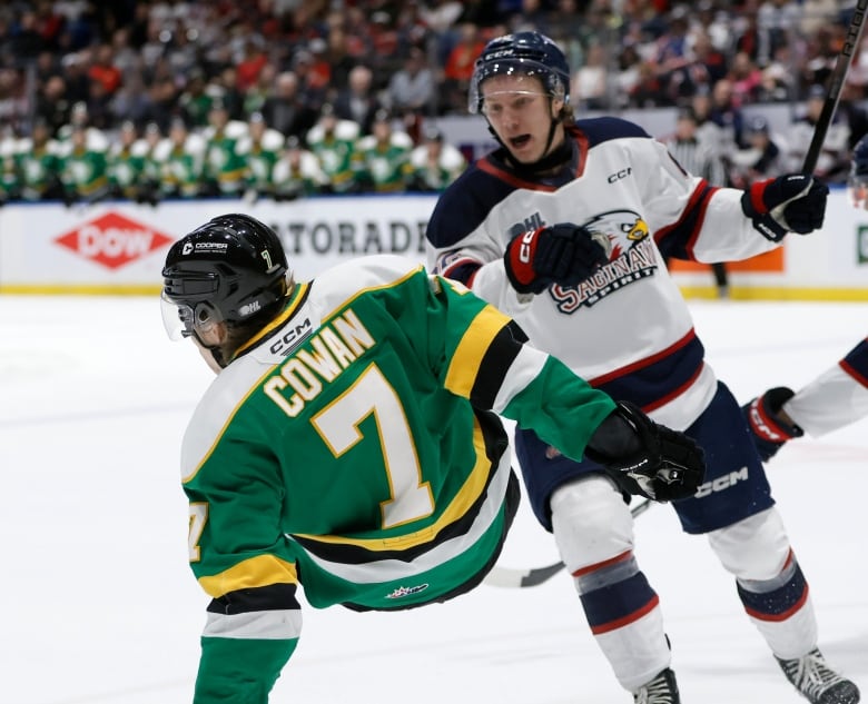 A hockey player is checked by an opponent.