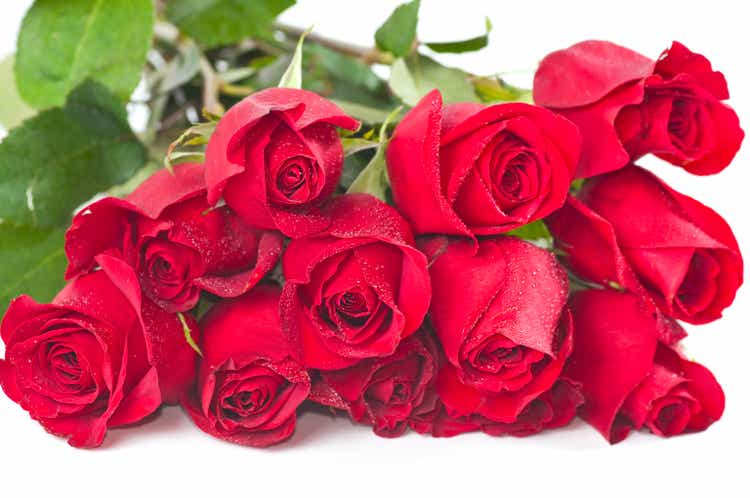 Long Stem Red Roses