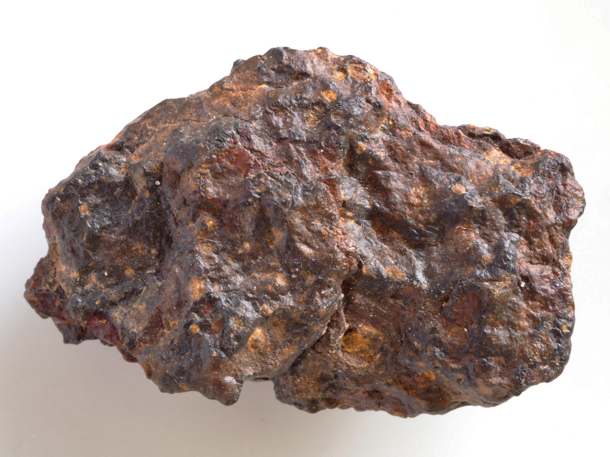 a carbonaceous chondrite 