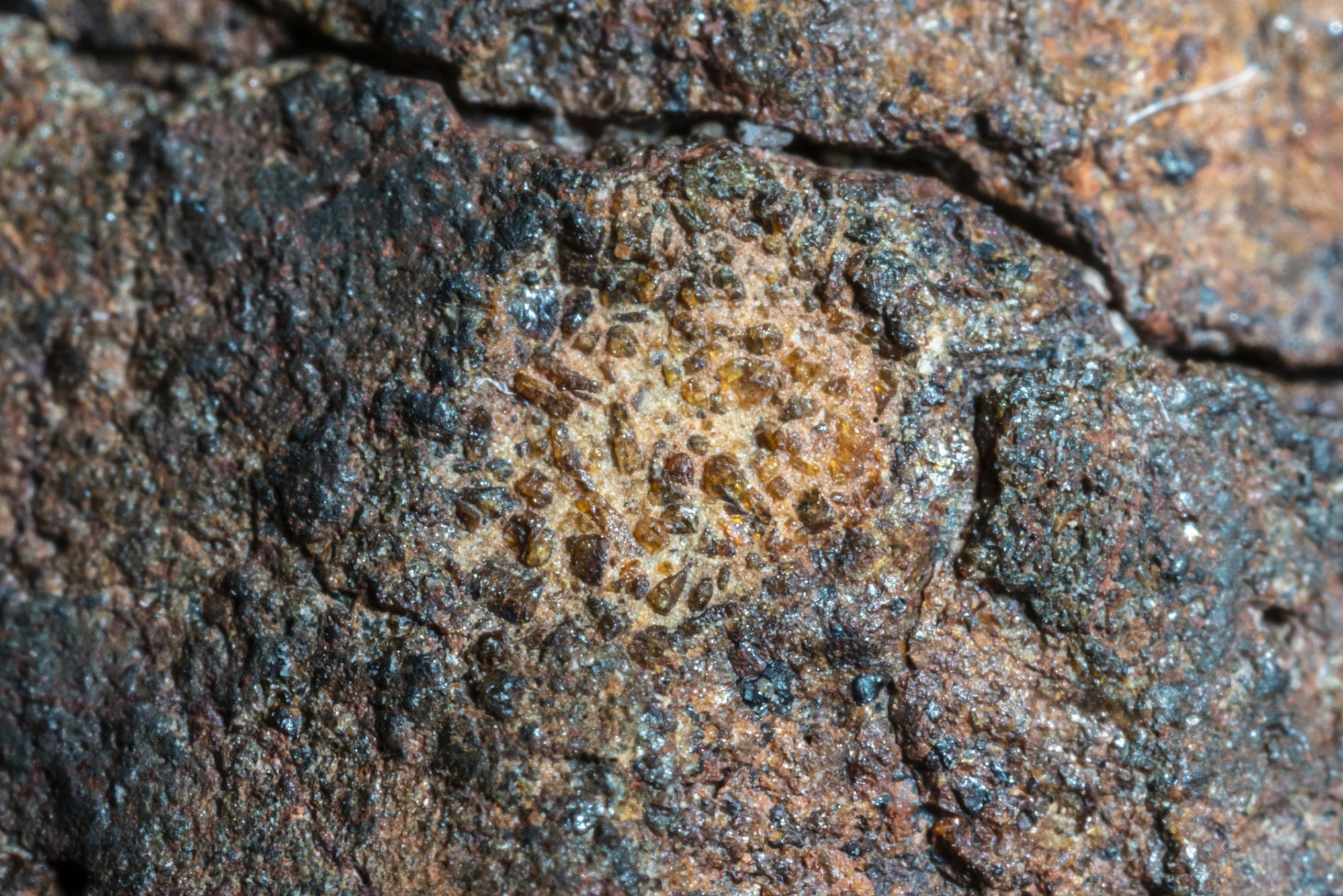 Looking up close at a fusion crust