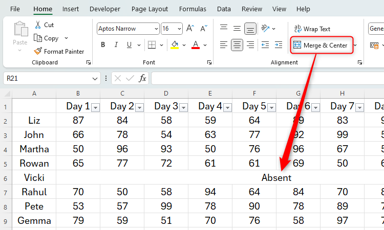 Data in Excel with one row merged and centered.