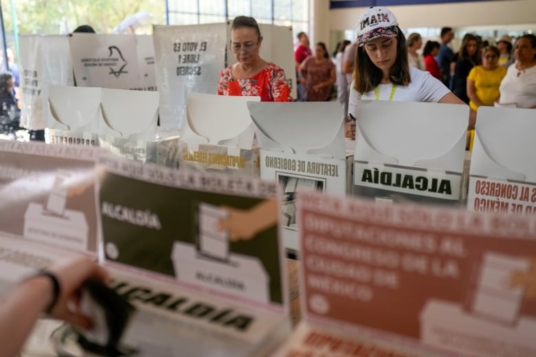 Voters cast ballots in a polling centre.