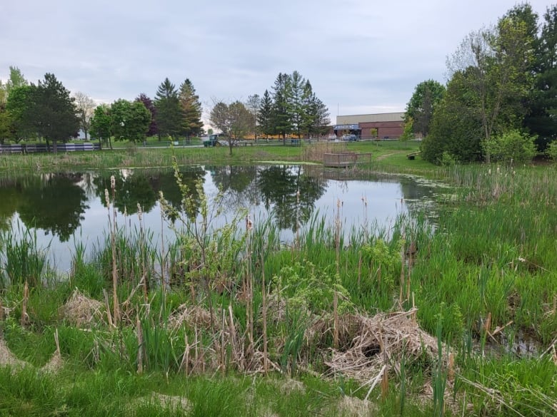 Pond in foreground, school building in background