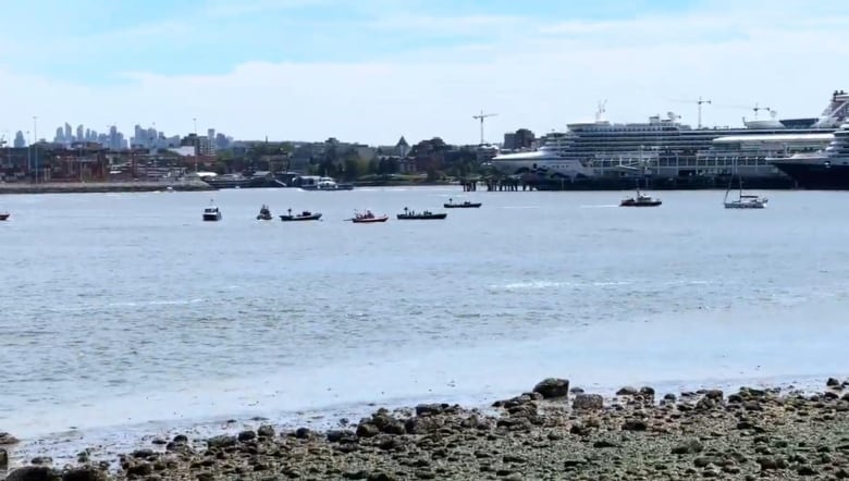 A number of boats are seen in a harbour, with a city skyline, large cruise ship and port apparatus visible.