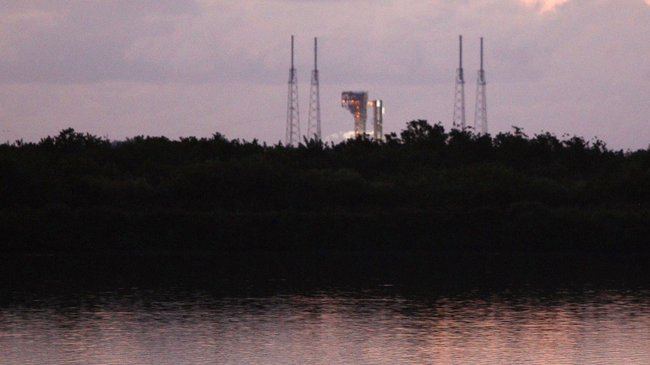 Alligator near Cape Canaveral