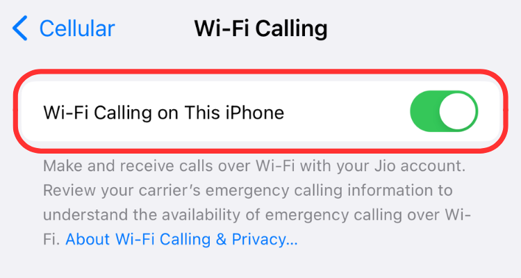 Wi-Fi calling toggle on iPhone.