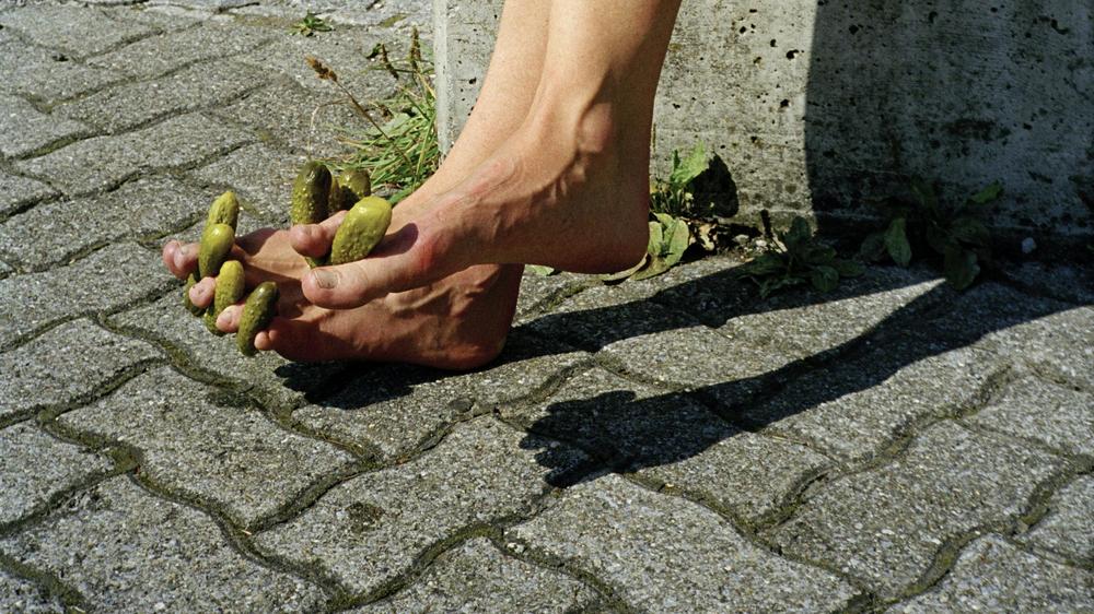 Unvernünftigkeit: Outdoor Sculpture, Appenzell, 1998 von Erwin Wurm