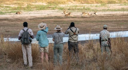 Bei Walking Safaris in Sambia sind Reisende besonders bewusst unterwegs.